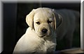 DSC_3559.JPG