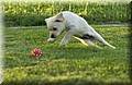 DSC_3692.JPG