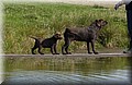 DSC_3862.JPG