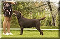 DSC_3997.JPG
