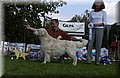 DSC_4187.JPG
