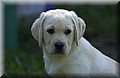 DSC_5172.JPG