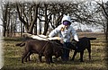 DSC_6521.JPG