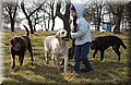 DSC_6551.JPG