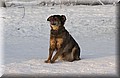 DSC_6781.JPG
