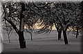 DSC_8087.JPG