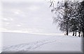 DSC_8161.jpg