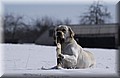 DSC_8814.JPG