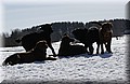 DSC_9102.JPG