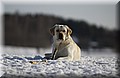 DSC_9131.JPG