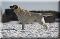 DSC_9162.JPG