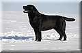 DSC_9216.JPG