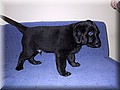 100-0004_IMG_4.JPG