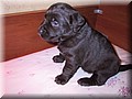 100-0008_IMG.JPG