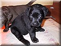 100-0016_IMG.JPG