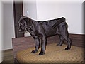 100-0018_IMG.JPG