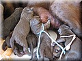 IMG_2828.jpg