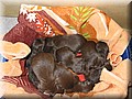 IMG_2906.jpg