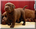 IMG_47055555.jpg