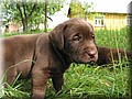 IMG_5312.jpg