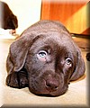 IMG_61111111.jpg