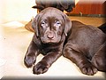 IMG_6117.jpg