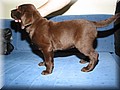 IMG_6266.jpg