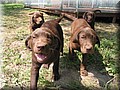 IMG_7044.jpg