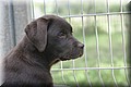 IMG_0841.JPG