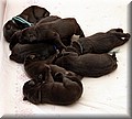 IMG_2057777.jpg