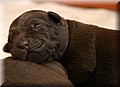IMG_24799999.jpg