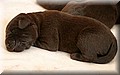 IMG_2505555.jpg