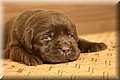 IMG_3363.JPG
