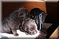 IMG_3479.JPG