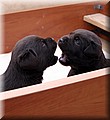 IMG_4218888.jpg