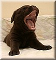 IMG_4810000.jpg