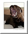 IMG_5321 copy.jpg