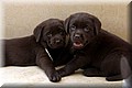 IMG_6158888.jpg