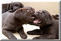 IMG_6170000.jpg