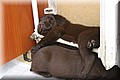 IMG_6442.jpg