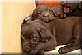 IMG_68000000000.jpg