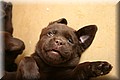 IMG_6803.JPG