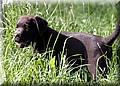 IMG_8159999.jpg