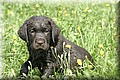 IMG_8420.JPG