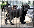 IMG_88355555.jpg