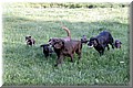 IMG_8970000.jpg