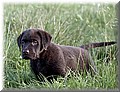 IMG_90288881.jpg