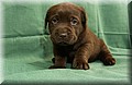 DSC_1003.JPG