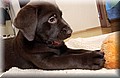 DSC_59188888.jpg