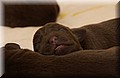 DSC_7584.JPG